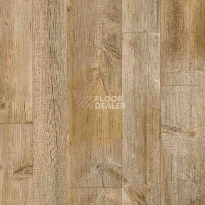 Линолеум Juteks Liberty HUNTER 3_616M фото 1 | FLOORDEALER